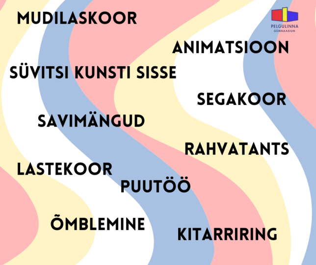 Huviringid 2024/2025